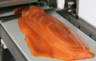 เครื่องสไลด์ปลาแนวราบ / Horizontal Slicer 