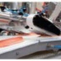 Fish processing