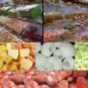 Fresh / Frozen fruit