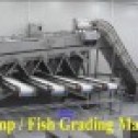 Sorter, Grader, Sizer