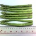 Fresh / Frozen vegetable