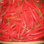 พริก