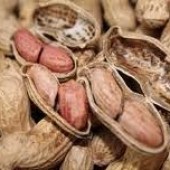 ผลของความชื้นต่อคุณสมบัติทางกายภาพของเมล็ดถั่วลิสงพันธุ์ขอนแก่น 84-8