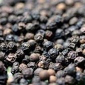 ผลของความชื้นต่อคุณสมบัติทางกายภาพของเมล็ดพริกไทยดำ