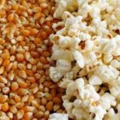ข้าวโพดคั่ว (popcorn)