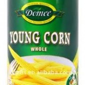 ข้าวโพดฝักอ่อนในน้ำเกลือบรรจุกระป๋อง (canned baby corn in brine) 