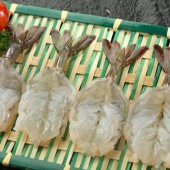 กุ้ง butterfly สดแช่เยือกแข็ง(frozen fresh butterfly shrimp)