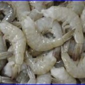 กุ้ง easy peel สดแช่เยือกแข็ง(frozen fresh easy peel shrimp)