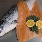  ปลาแซลมอนสดแช่แข็ง(frozen fresh salmon) 