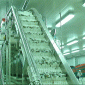 Shrimp soaking machine / เครื่องแช่กุ้ง