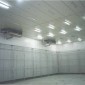 Freeze storage room / ห้องแช่แข็ง