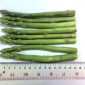 Fresh asparagus / หน่อไม้ฝรั่งสด