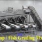 Sorter, Grader, Sizer