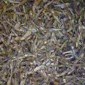 Dried sprats / ปลาสปรัทตากแห้ง