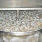 Shrimp soaking tank / ถังแช่กุ้ง 