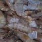 Fresh shrimp / กุ้งสด