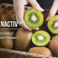 PhenActiv ™ / สารสกัดจากกีวี่เขียวปรับปรุงระบบย่อยอาหาร ย่อยโปรตีนให้เล็กลง