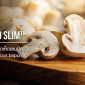 H2O Slim™ / สารสกัดมาจาก เห็ดแชมปิญอง ดักจับไขมัน