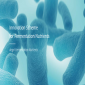 Fermentation Nutrients / สารอาหารจากการหมัก