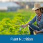 Plant Nutrition / ธาตุอาหารพืช