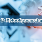 1,4-B-D-Xylo-oligosaccharides / 1,4 เบต้า-ดี- ไซโลโอลิโกแซคคาไรด์