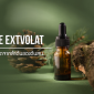 Pine Extvolat / สารสกัดจากลำต้นของต้นสน