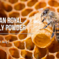 Royal Jelly Powder / นมผึ้ง