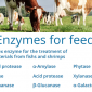 Enzymes for feed / เอนไซม์สำหรับอาหารสัตว์