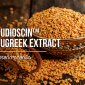 Fenugreek Extract / สารสกัดจากลูกซัด