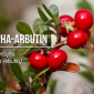 Alpha Arbutin / อัลฟ่าอาร์บูติน