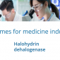 Enzymes for medicine industry / เอนไซม์สำหรับอุตสาหกรรมยา
