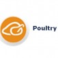 Poultry Industry / Poultry Industry