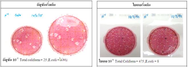 การตรววัดปริมาณจุลินทรีย์ในสมุนไพร ด้วย วิธีการใช้ Rapid method 