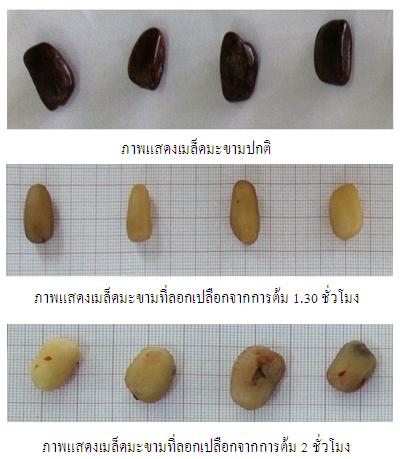 คุณลักษณะทางกายภาพของเมล็ดมะขาม