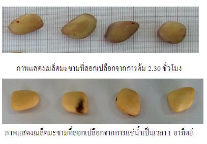 คุณลักษณะทางกายภาพของเมล็ดมะขาม
