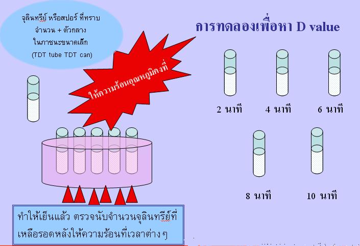 D value / Decimal destruction time - Food Wiki | Food Network Solution