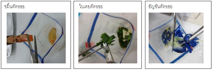 การตรววัดปริมาณจุลินทรีย์ในสมุนไพร ด้วย วิธีการใช้ Rapid method 