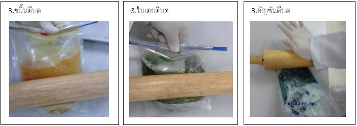 การตรววัดปริมาณจุลินทรีย์ในสมุนไพร ด้วย วิธีการใช้ Rapid method 