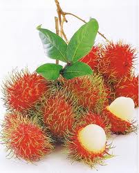 rambutan