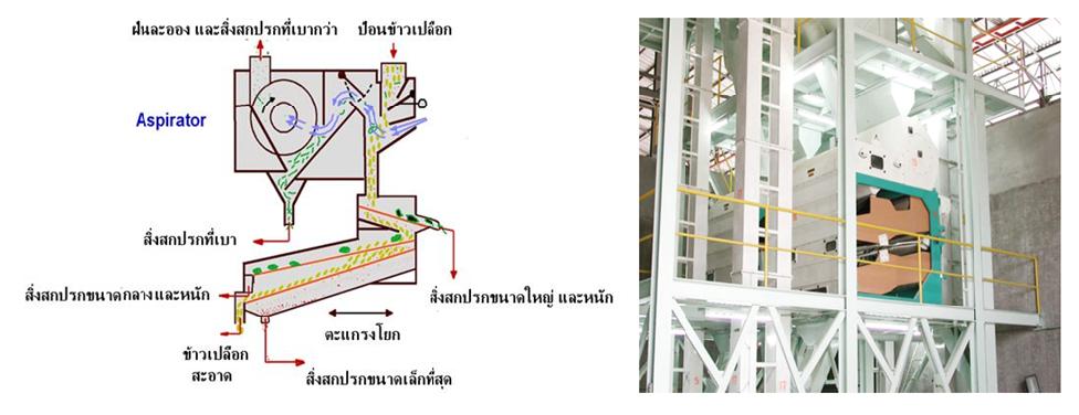 การทำความสะอาดวัตถุดิบก่อนการแปรรูปอาหาร