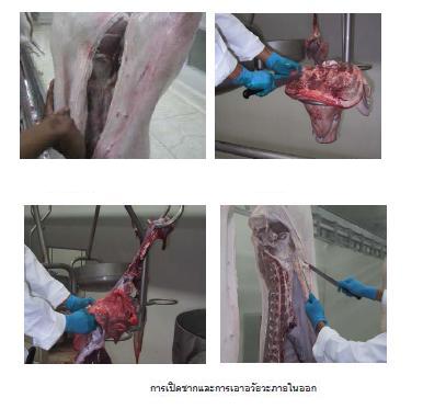 กระบวนการผลิตเนื้อสุกร