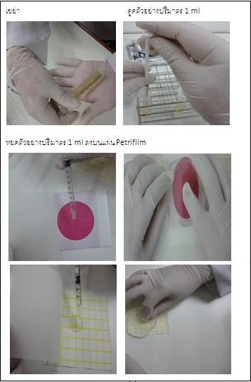 การตรววัดปริมาณจุลินทรีย์ในสมุนไพร ด้วย วิธีการใช้ Rapid method 