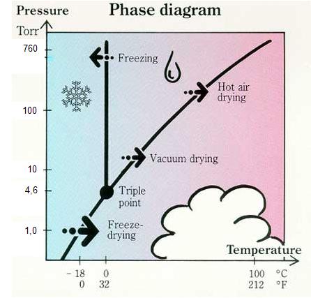 Phase diagram / แผนภาพเฟส - Food Wiki | Food Network Solution