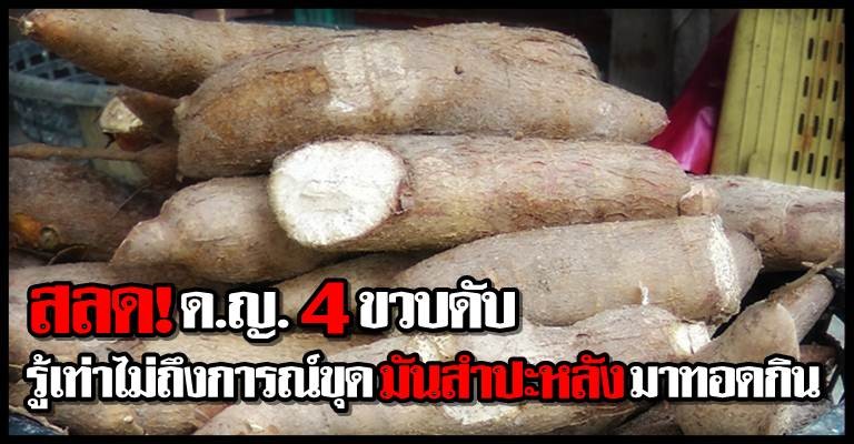 เด็ก 4 ขวบ ขุดมันสำปะหลังมาทอดกินตาย