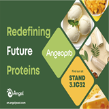 Elevate Your F&B Game with Angel Yeast at Fi Europe 2024!– and also taste great!