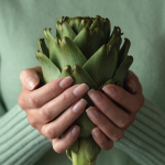 Artichoke (อาร์ติโชค) พืชสารพัดประโยชน์  ?