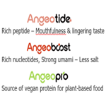 Vegan & Vegetarian (อาหารเจ & อาหารมังสวิรัต)