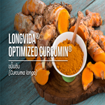 Curcuma longa / ขมิ้นชัน