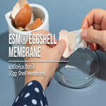Egg shell Membrane / ผงเยื่อหุ้มเปลือกไข่