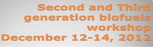 Second and Third generation biofuels workshop